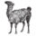 LLAMA